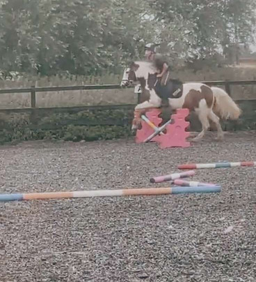 Montys Equestrian Centre-Holland-on-Sea必去景点