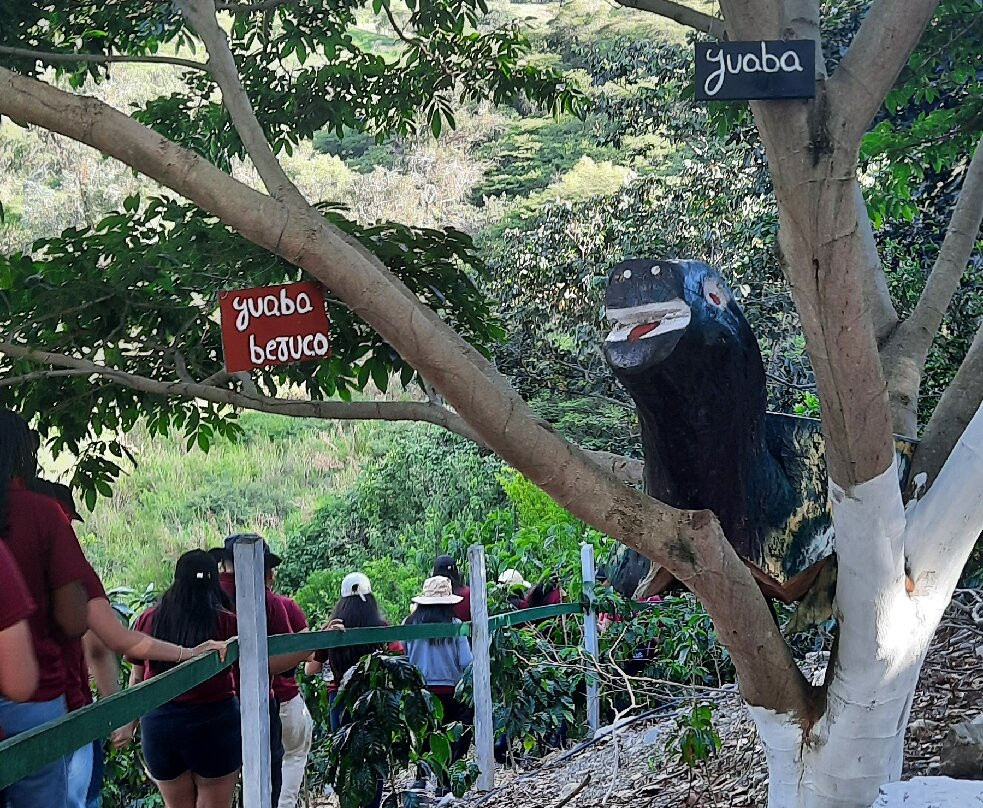 Vilcaroma Coffee-Vilcabamba必去景点