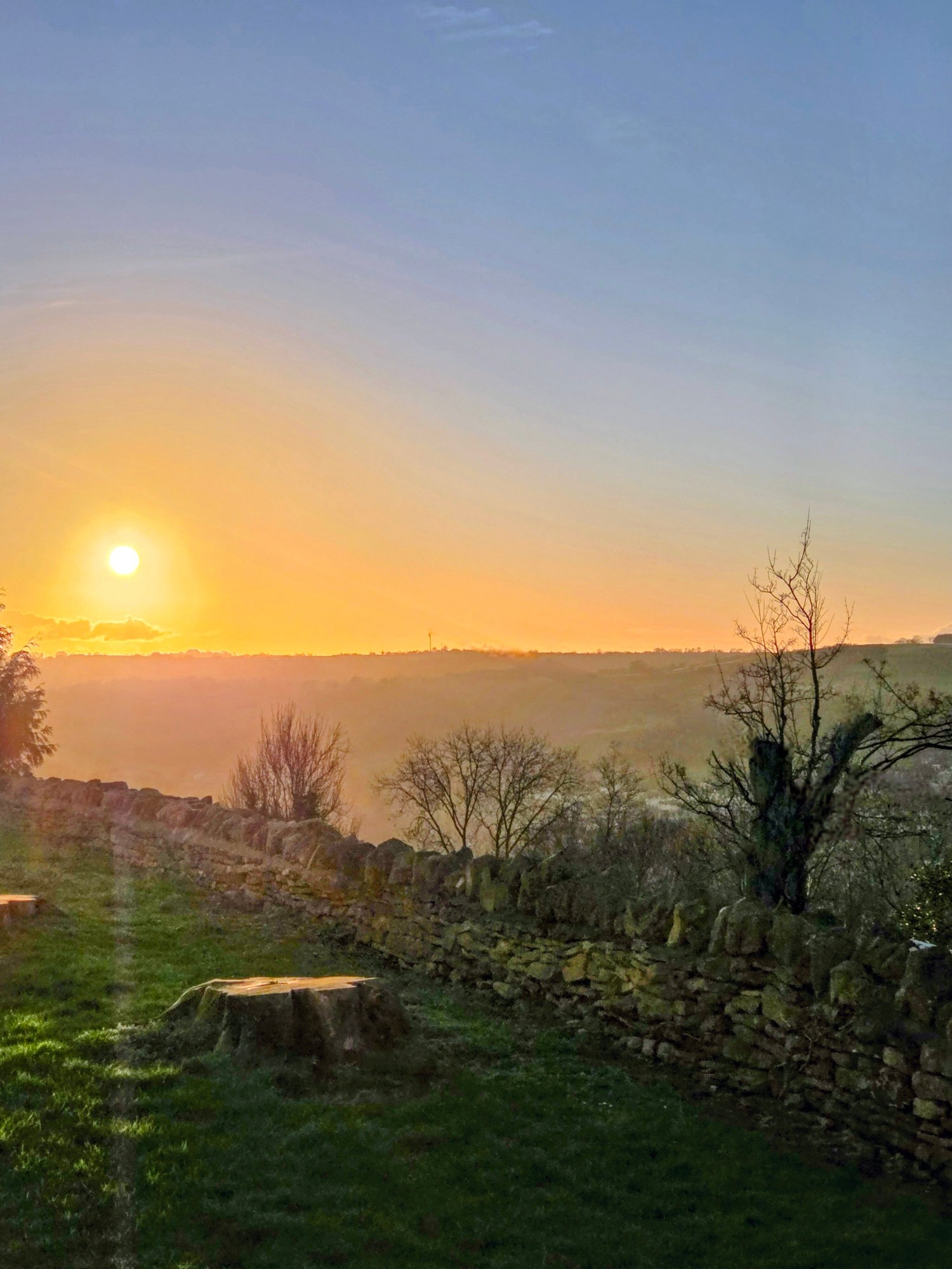罗德布鲁熊酒店-官方