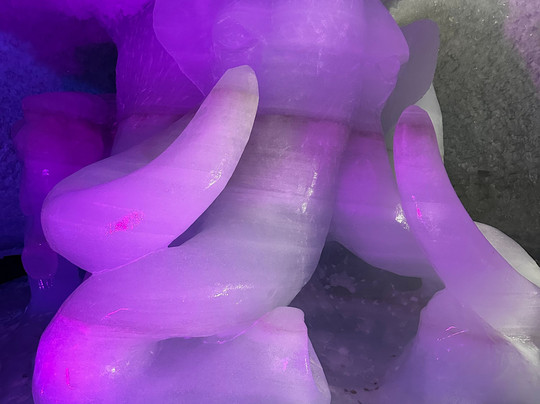 Glacier Cave-莱德萨阿尔卑斯必去景点