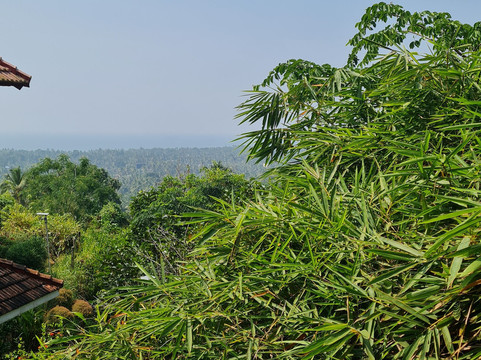 Ayurveda Healing Ashram-提卢湾安塔普兰（特里凡德伦）必去景点