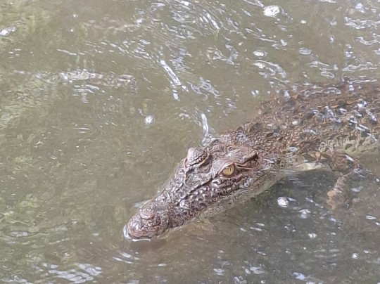 Lucky Boat Safari-班托塔必去景点