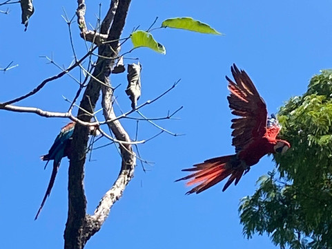 Eco Adventures Travel-大坎普市必去景点
