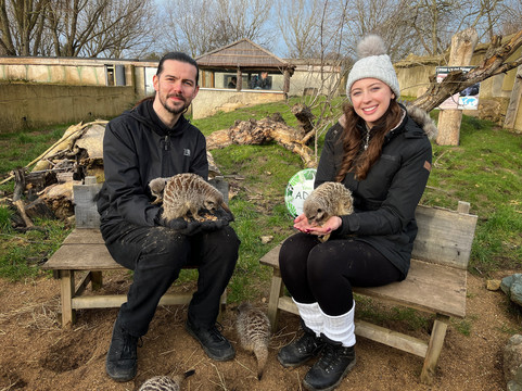 All Things Wild-Honeybourne必去景点