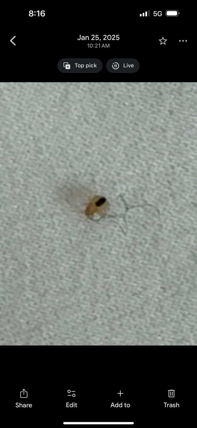 The Reeds at Shelter Haven-官方