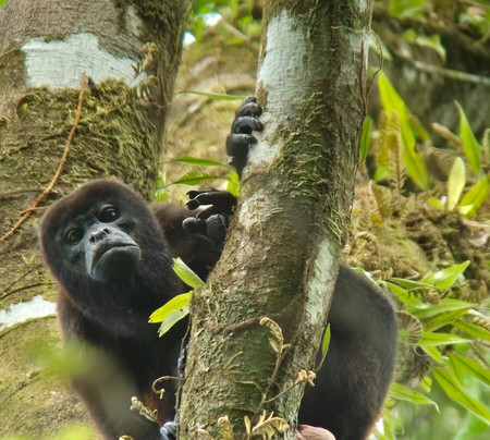 Picolina Tours-德雷克湾必去景点