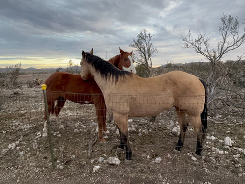 Double R Ranch-Elgin必去景点