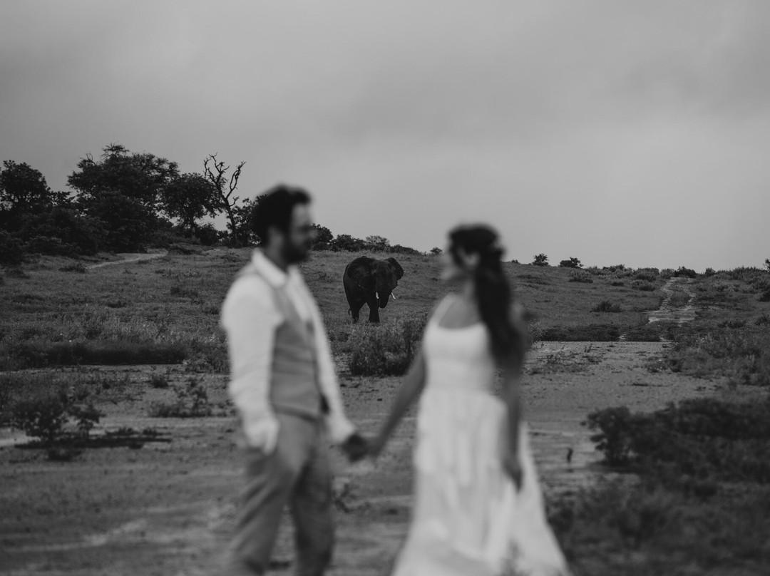 Paw Safaris-霍德斯普鲁特必去景点