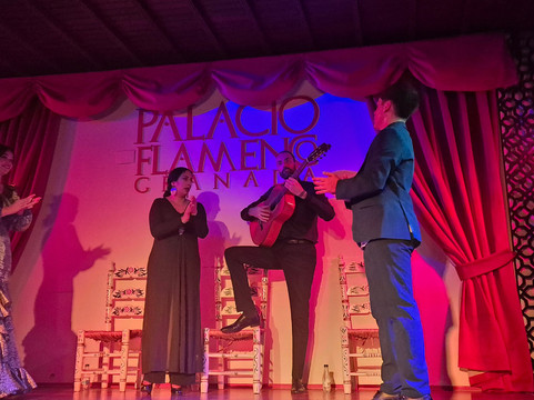 Palacio Flamenco Granada-格拉纳达必去景点