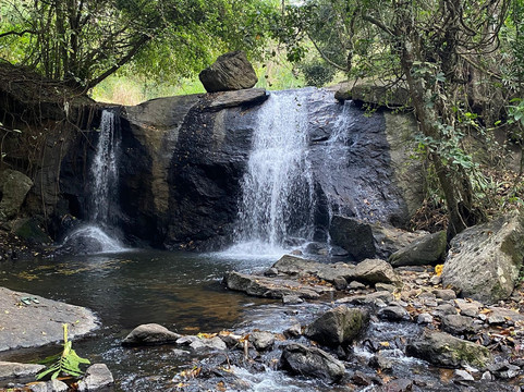 31st December Farms & Estates Munnar主图