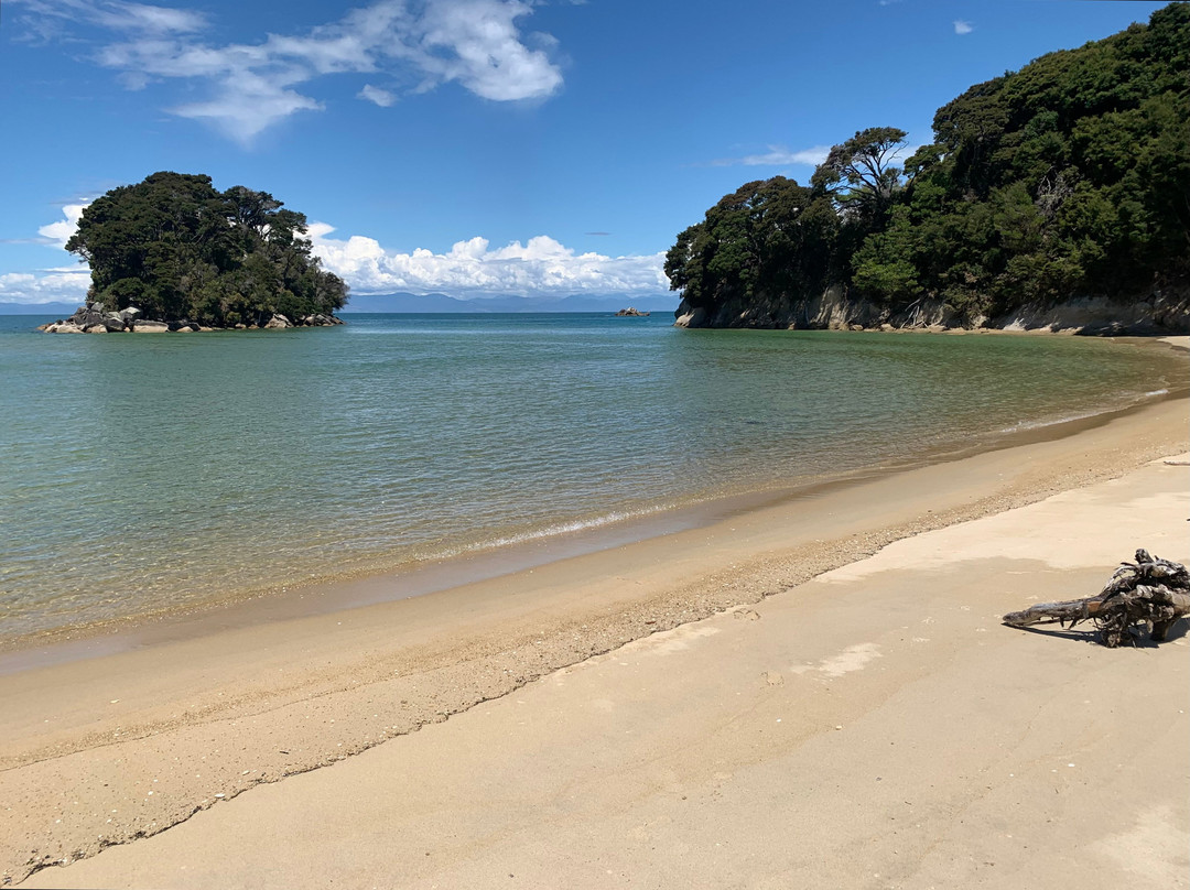 Golden Bay Kayaks-塔卡卡必去景点