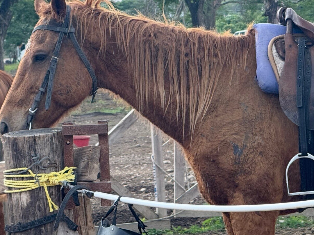 Chukka Seville Outpost-Priory必去景点