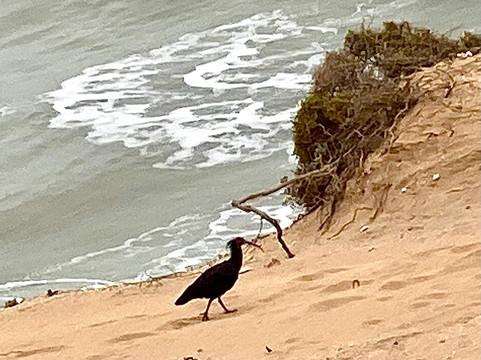 Timlalin Dunes-Imsouane必去景点