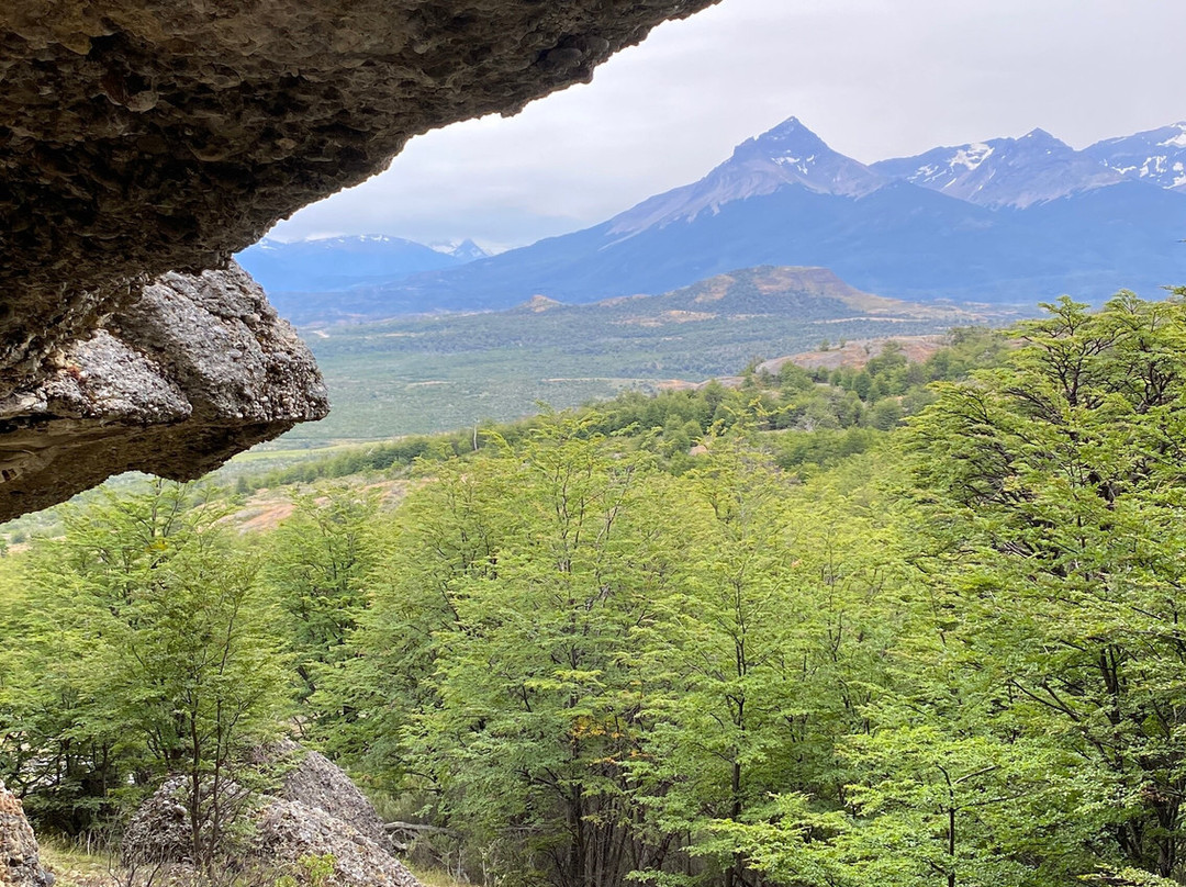 Rupestre Patagonia-纳塔莱斯港必去景点