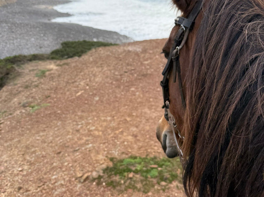 Horse Adventure Tours-Aljezur必去景点