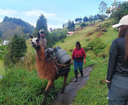 Minas De Sal De Salinas De Guaranda-Guaranda必去景点