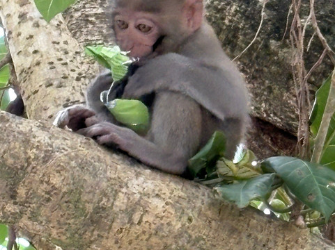 Danang Motorbike Adventure-岘港必去景点