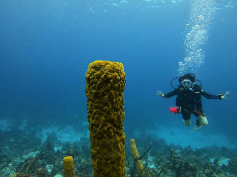 Varadero Diving Tour-Playa Larga必去景点