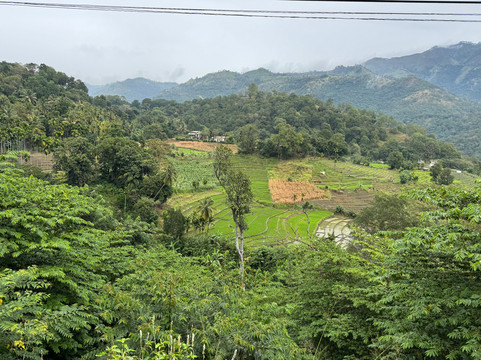 Elgant Island Tours-Katana必去景点