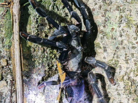 Leticia Adventures-莱蒂西亚必去景点