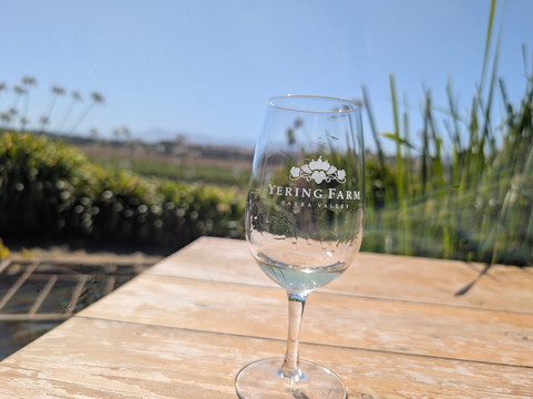 亚拉河谷葡萄酒乡-墨尔本必去景点