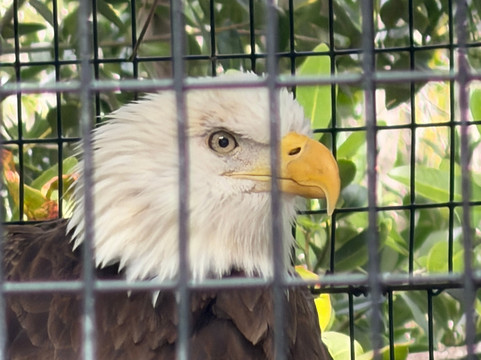 Peace River Wildlife Center-蓬塔戈尔达必去景点