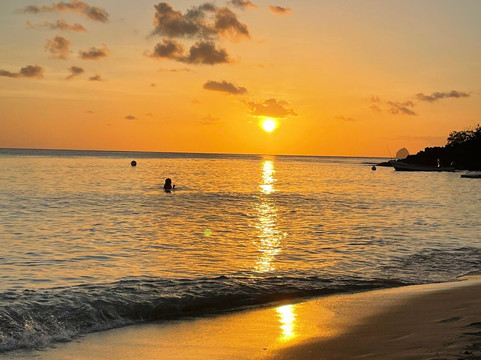 Anse Figuier-Riviere-Pilote必去景点