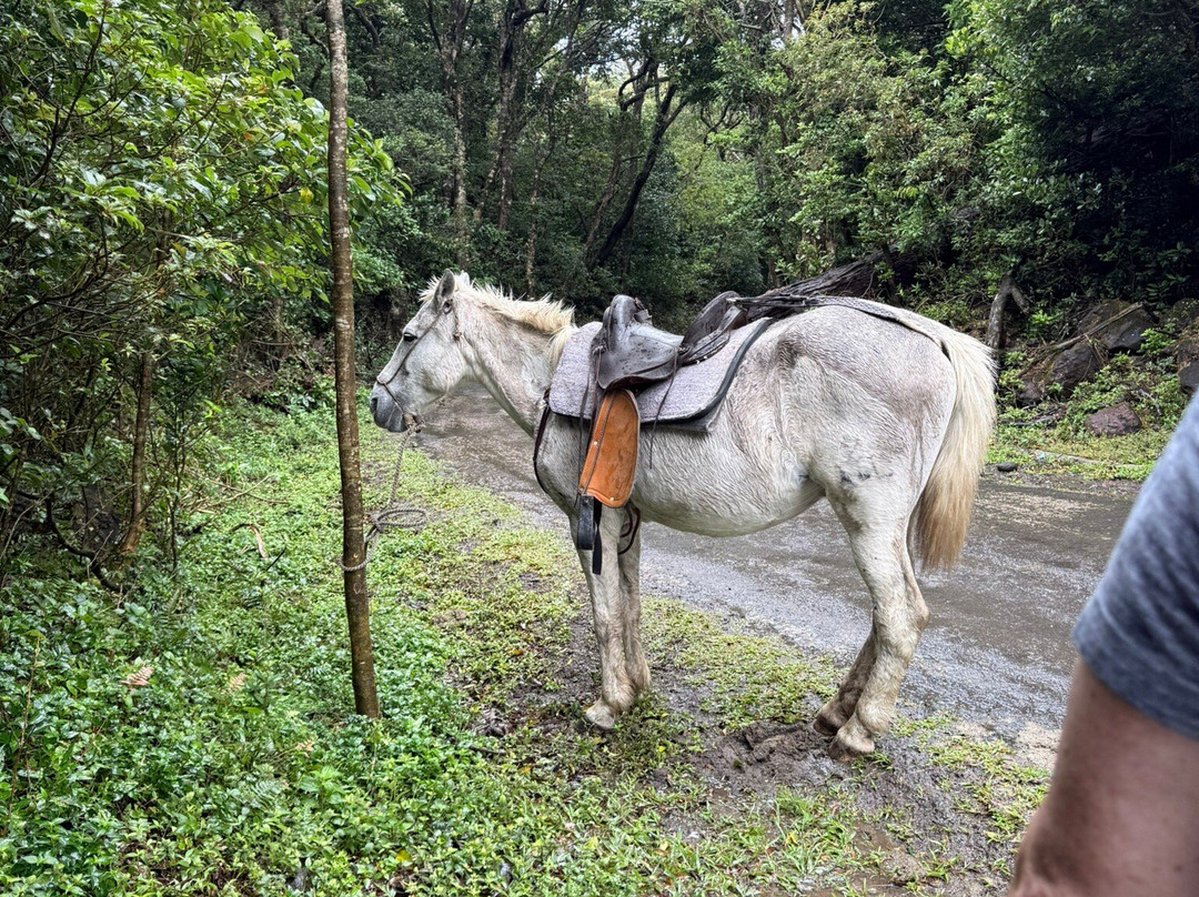 Discover Costa Rica Tours and Transfers-利比里亚必去景点