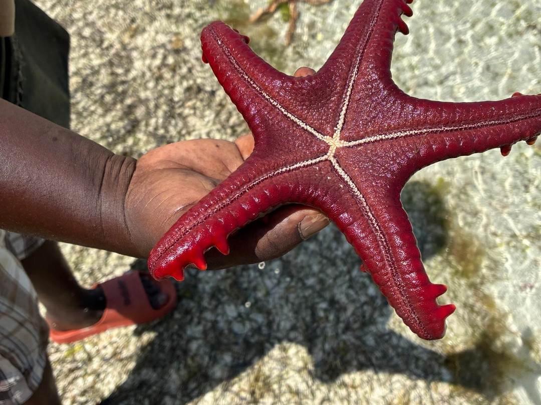 Urafiki Tours and Safari-孥归必去景点