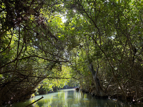 Indian River-多米尼克必去景点