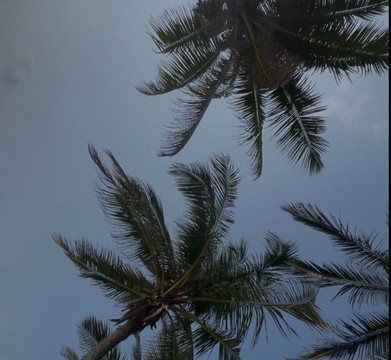 Lakshadweep Holidayz-Kavaratti Island必去景点