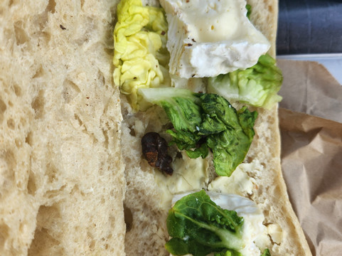 Marie Blachere主图