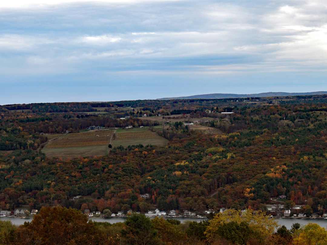 Bully Hill Vineyards Winery-Hammondsport必去景点