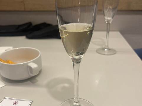 Plaza Premium Lounge (Non-Schengen Area, Departures, Mezzanine Floor, Terminal 2B)-布达佩斯必去景点