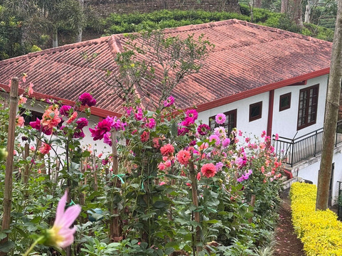 总督府酒店主图