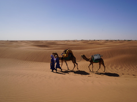 My Sahara Trek-迈哈米德必去景点