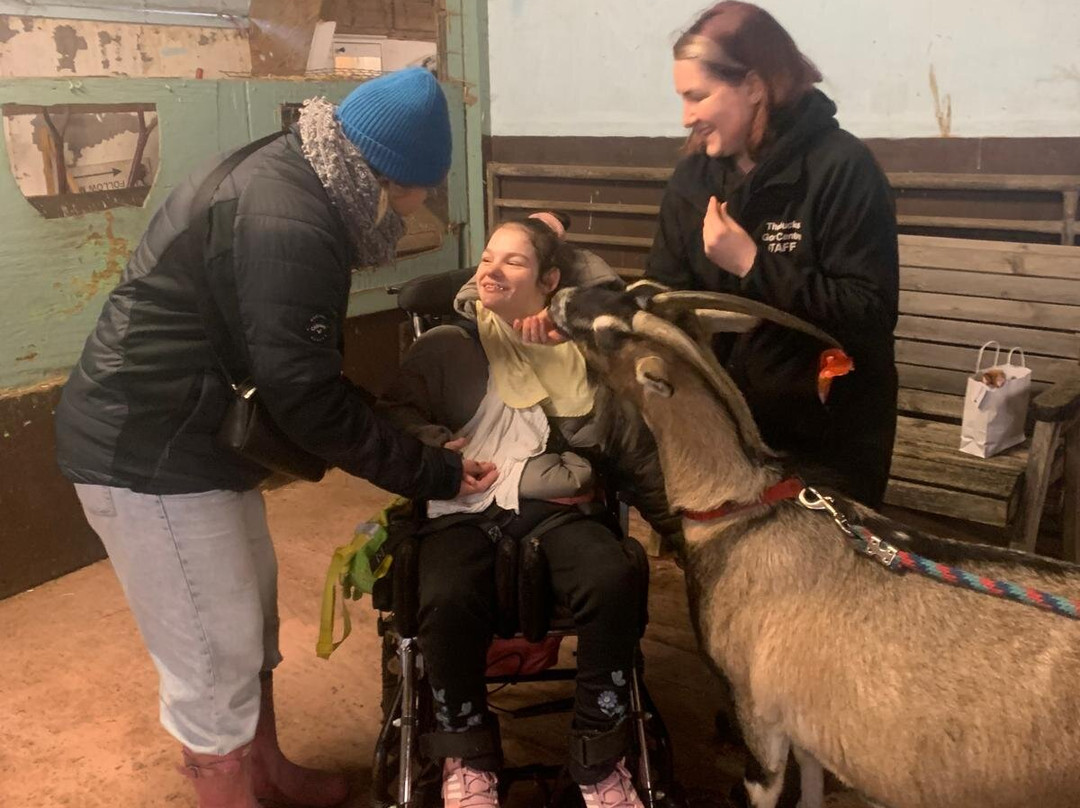 The Bucks Goat Centre-艾尔斯伯里必去景点