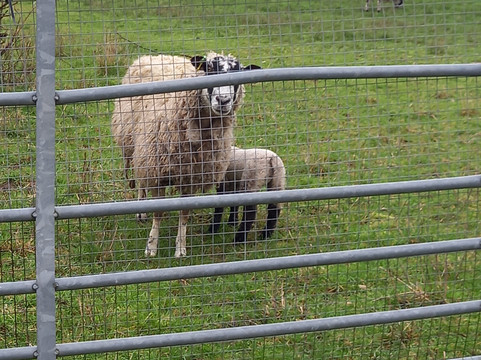 Saint Mary-Le-More-沃灵福德必去景点