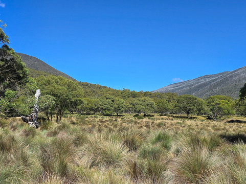 GirlsTrek-布里斯班必去景点