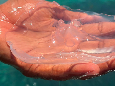 ZANZIBAR PRIVATE TOURS-孥归必去景点