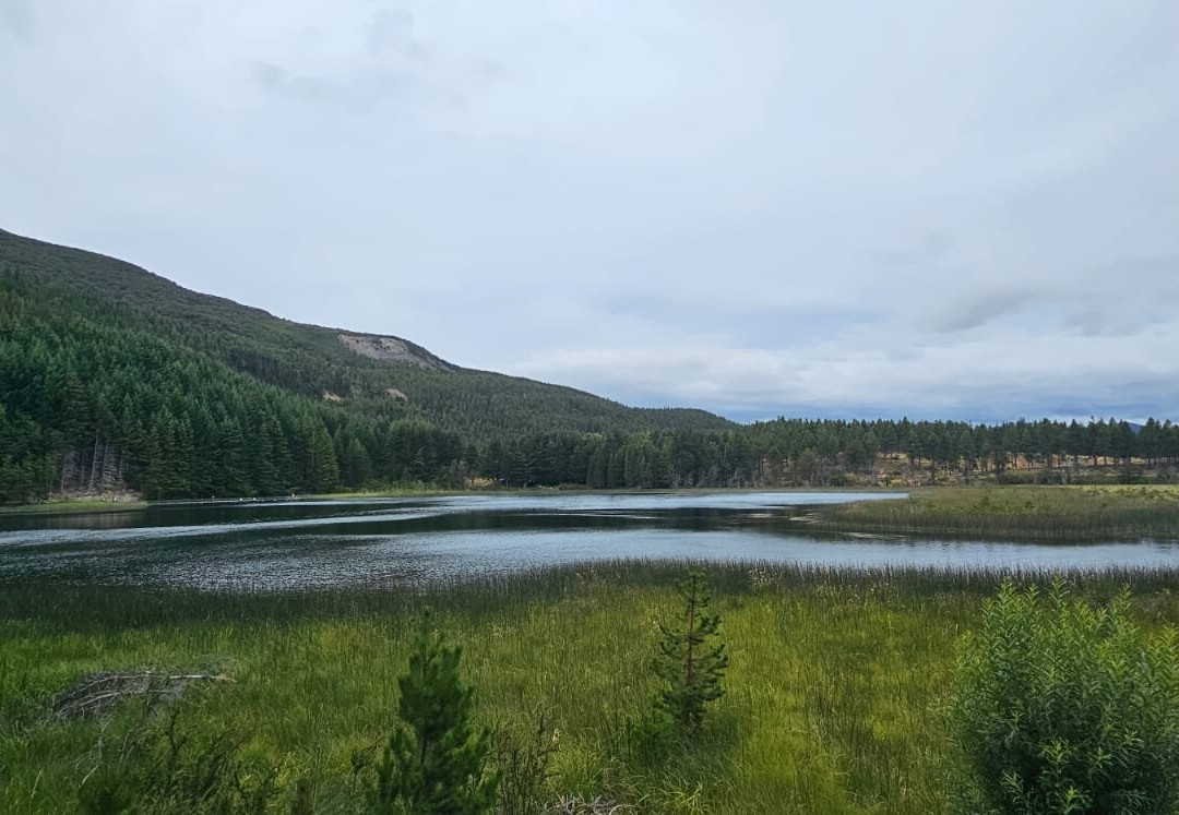 Coyhaique National Reserve-Coyhaique必去景点