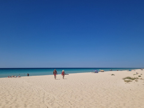 Eagle Bay Beach-Eagle Bay必去景点