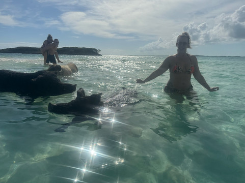 Pig Beach-斯丹尼尔岛必去景点