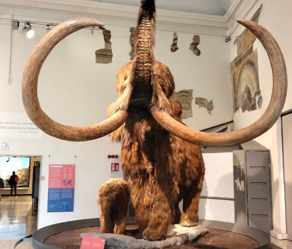 Museo di Scienze Naturali "E. Caffi"-贝加莫必去景点