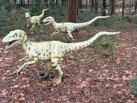 Het Oertijdmuseum-Boxtel必去景点