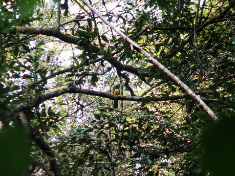 DANTA TOURS-Xpujil Town必去景点