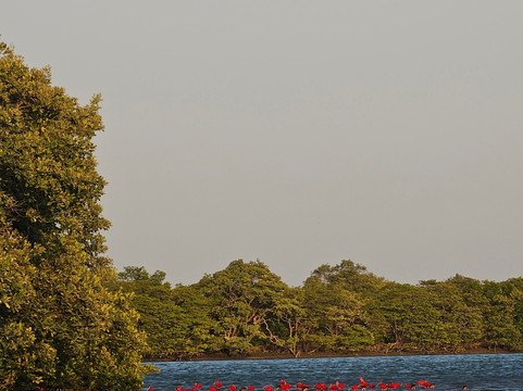 Guará Transfer & Tourism - Barra Grande-Barra Grande必去景点