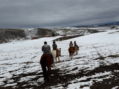 Saddleback Ranch-斯廷博特斯普林斯必去景点