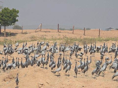 India Highlights Tour-新德里必去景点