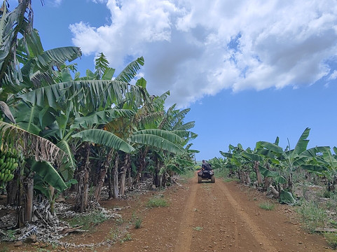 Quad Activities Constance Flacq-Centre de Flacq必去景点